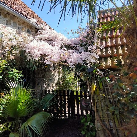 Les Deux Moulins Apartman Saint-Alban  Kültér fotó