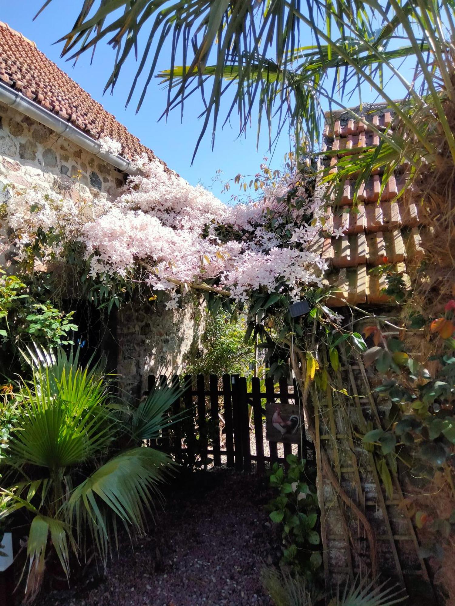 Les Deux Moulins Apartman Saint-Alban  Kültér fotó